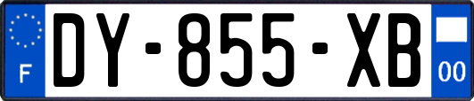 DY-855-XB