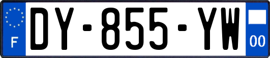 DY-855-YW