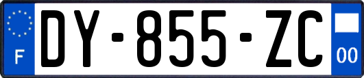 DY-855-ZC