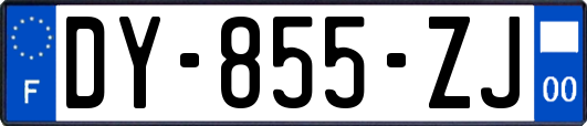 DY-855-ZJ