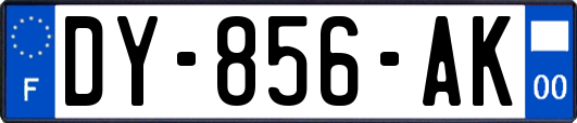 DY-856-AK