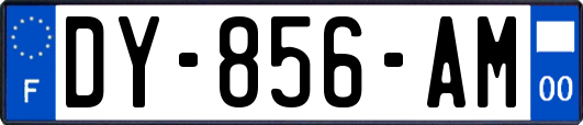 DY-856-AM