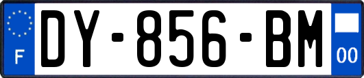 DY-856-BM