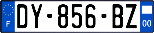 DY-856-BZ