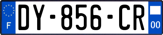 DY-856-CR