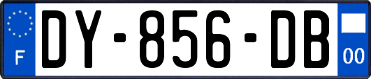DY-856-DB