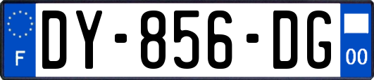 DY-856-DG