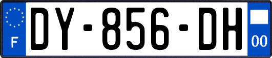 DY-856-DH