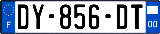 DY-856-DT