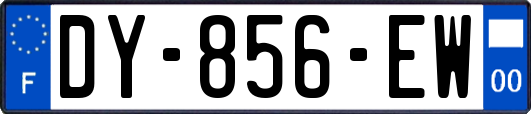 DY-856-EW
