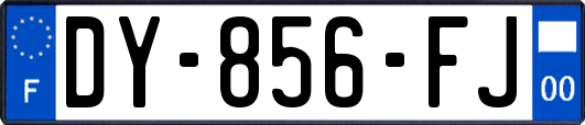 DY-856-FJ