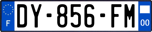 DY-856-FM