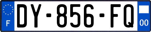 DY-856-FQ