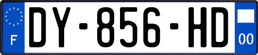 DY-856-HD