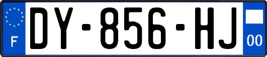 DY-856-HJ