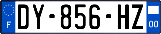 DY-856-HZ