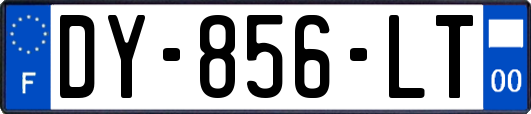 DY-856-LT