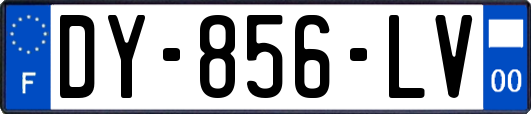 DY-856-LV