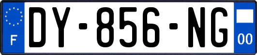 DY-856-NG
