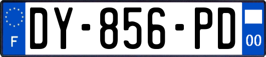 DY-856-PD