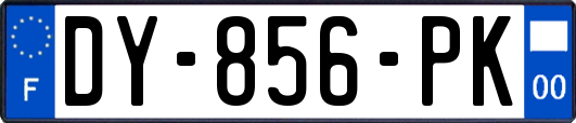 DY-856-PK