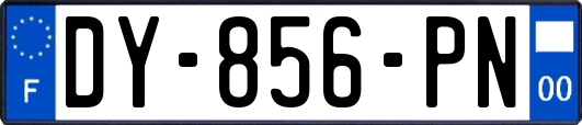 DY-856-PN