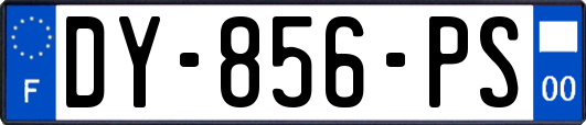DY-856-PS