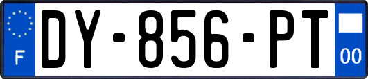 DY-856-PT