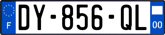 DY-856-QL