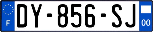 DY-856-SJ