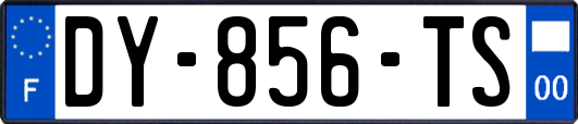 DY-856-TS