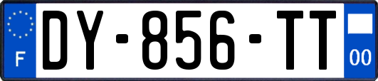 DY-856-TT