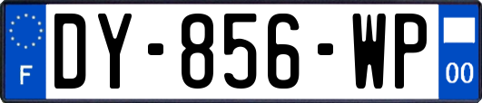 DY-856-WP