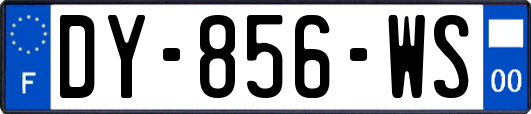 DY-856-WS