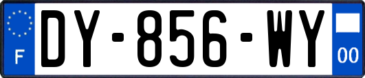 DY-856-WY