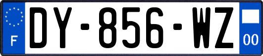 DY-856-WZ