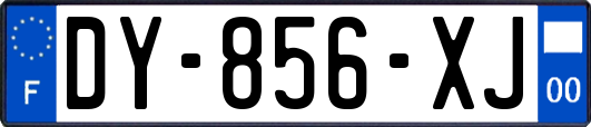 DY-856-XJ