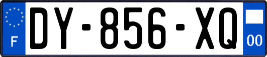 DY-856-XQ