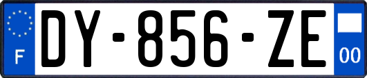 DY-856-ZE