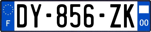 DY-856-ZK