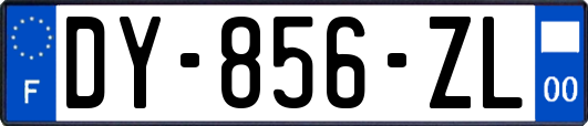 DY-856-ZL