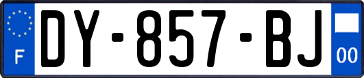 DY-857-BJ