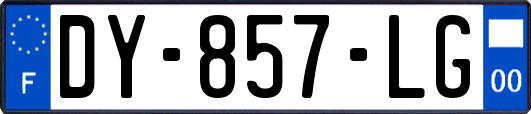 DY-857-LG