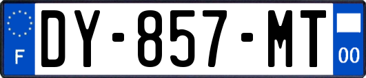 DY-857-MT