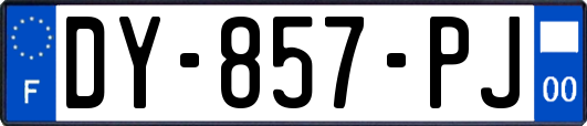 DY-857-PJ