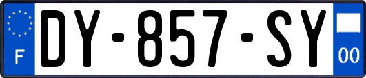 DY-857-SY