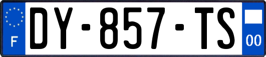 DY-857-TS