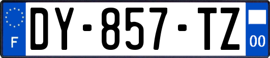 DY-857-TZ