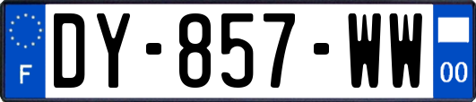 DY-857-WW