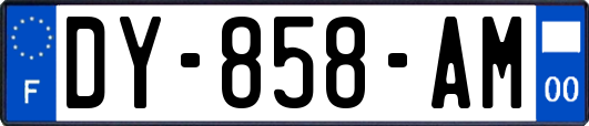 DY-858-AM